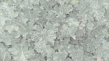 Gradient texture of of leaves of Cardus marianus or Saint Mary's thistle (Silybum marianum) in spring.