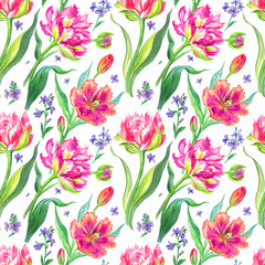 Tulips seamless pattern on a white background, watercolor drawing, floral background for various designs, print for fabric