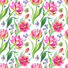 Tulips seamless pattern on a white background, watercolor drawing, floral background for various designs, print for fabric