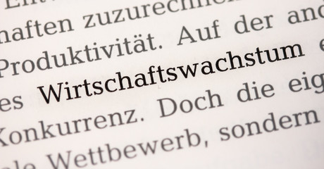 Wirtschaftswachstum