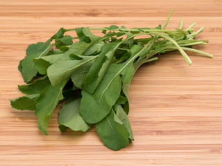 ハーブ　ルッコラ