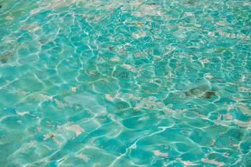 夏のプールの水