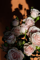 Vase with rose flowers on an orange background