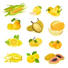 Big yellow fruits and vegetables vector set isolated on white maize, pomelo, bell pepper, pear, durian, melon, lemon, cherry plums, tomato, carambola, apple, papaya Summer harvest