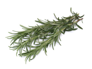 ハーブ　ローズマリー