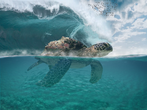 Imaginary fictional dreamy sea landscape with a sea turtle getting Castelsardo town to safety. Big tzunamy wave. Underwater scene. Visionary place background with copy space