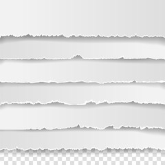 Fototapeta premium Set of torn white note