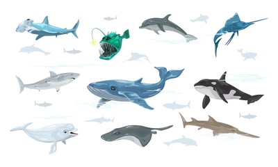Vector set isolated on white of undersea world with swimming marine animals, creatures, monsters, fishes dolphin, anglerfish, swordfish, whale, shark, sawfish, beluga, atlantic torpedo hammerhead.