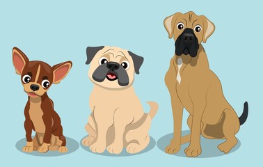 Dog Breed Cihuahua, Pug, Boxer Dog