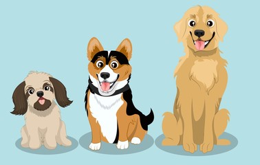 Obraz premium Dog Breed Golden Retriever, Corgy, Maltese