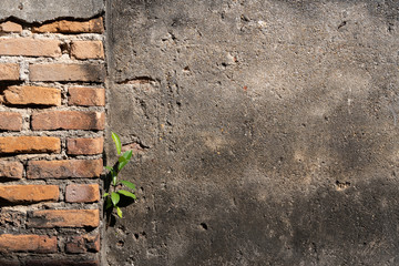 Old wall texture background