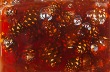Young fir cone jam