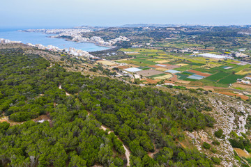 Fototapeta na wymiar Aerial view of green forest, sea and colorful agriculture fields. Nature countryside. Malta island
