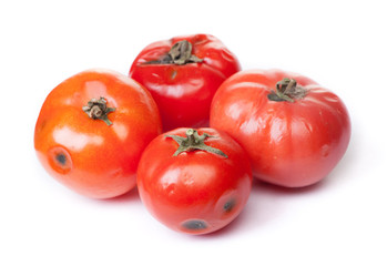 Spoiled tomato on white background
