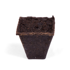 Empty peat pot with dirt