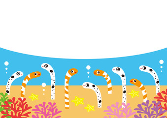 チンアナゴ ニシキアナゴ キャラクター フレーム イラスト