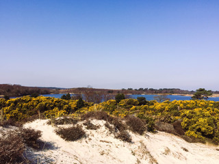 2015 Swanage Seaside