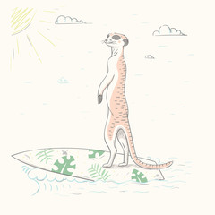 Lovely cute meerkat surfing on the surf. Little meerkat engaged in summer water extreme sports. - 343420417