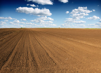 Fototapeta premium Plowed field in spring time with blue sky