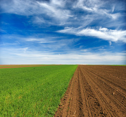 Fototapeta na wymiar Plowed field in spring time with blue sky