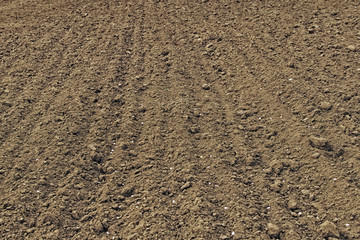 A close up of freshly tilled soil with till marks and textures in the dirt makes. Preparation for...