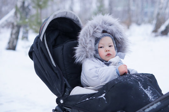 Baby Boy In Stroller In Winter Park