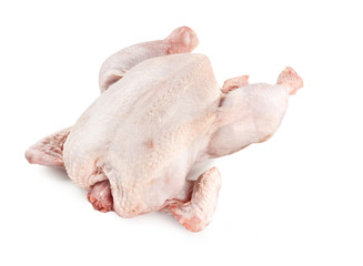 Whole Uncooked Chicken – Isolated on White Background