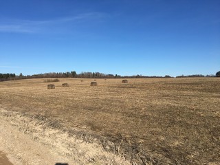 Haystack in the field in early spring