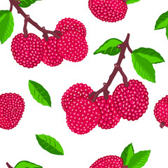 Vector lychee tropical fruit seamless pattern. Ripe lychee fruits on a branch. Vector pattern for printing on textile, paper, packaging, wallpaper.