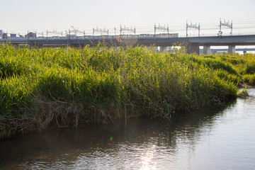 Close up of stream of Tamagawa River in Tokyo, Japan