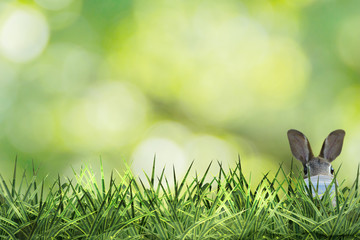 cute easter bunny with protective mask in green grass 