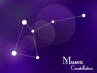 Obraz na płótnie Canvas Musca constellation. Starry night sky. Cluster of stars, galaxy. Deep space. Vector illustration