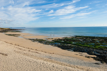 Fototapeta na wymiar Beach with blue sky and green seaweed