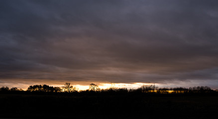 Sunset over fields with tree silhouettes