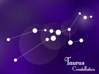 Obraz na płótnie Canvas Taurus constellation. Starry night sky. Cluster of stars, galaxy. Deep space. Vector illustration