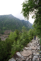 
The route to the Teryego Cottage in the Slovak Tatras