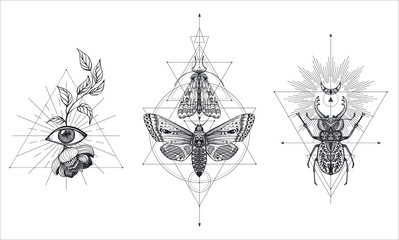Collection of black and white moths and beetle over sacred geometry sign, isolated vector illustration.
