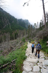 
The route to the Teryego Cottage in the Slovak Tatras