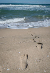Going in later Steps on the beach.
