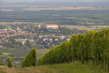 Fototapeta na wymiar Siklos castle in Villany region with vineyards, Southern Hungary