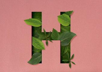 Letter H shape cutout with green leaves. Nature concept.