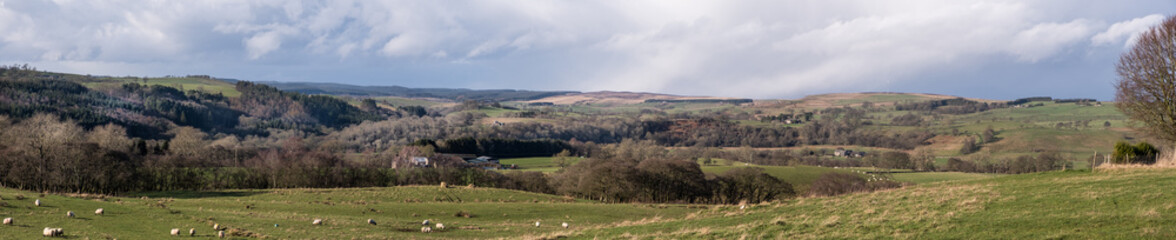 Countryside panorama of fields and trees