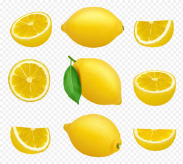 Lemons collection. Realistic picture of citrus yellow juice natural foods healthy natural products vector pictures. Fruit food citrus healthy, fresh juice lemon illustration - obrazy, fototapety, plakaty
