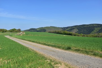 Gravel road in the fields in eifel mountains germany