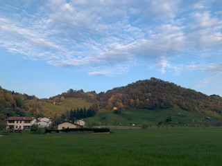 rural landscape with green field and blue sky