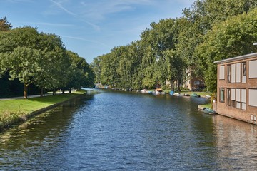 Fototapeta na wymiar Nice waterside district in Amsterdam with green vegetation, sunny weather