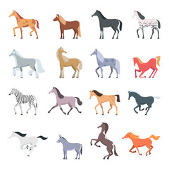 Horse breeds. Strong beautiful domestic animals in action poses jumping and walking pony vector set. Illustration horse animal, strong mammal purebred