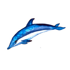 Fototapeta premium Dolphin isolated on a white background. Watercolor. Summer mood, sea, ocean.