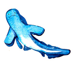Blue shark, watercolor hand drawn illustration. Summer mood, sea, ocean. Sea and ocean creatures in blue tones.