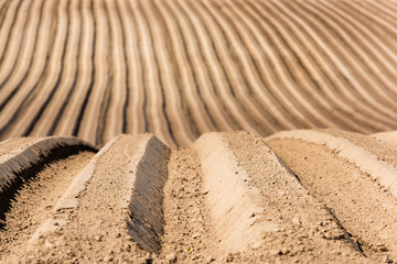 Fototapeta na wymiar Plowed or Ploughed Fields at Countryside. Rows in Farmland at Srping. Agriculture Concept